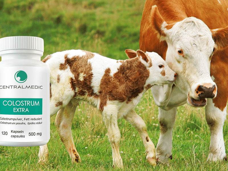 Colostrum – Geheimnis des Lebens