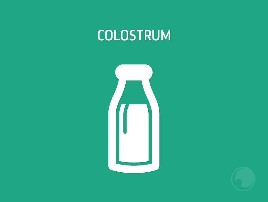 Colostrum