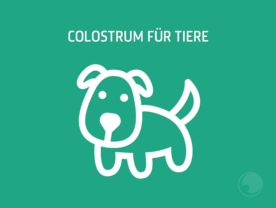 Für Tiere